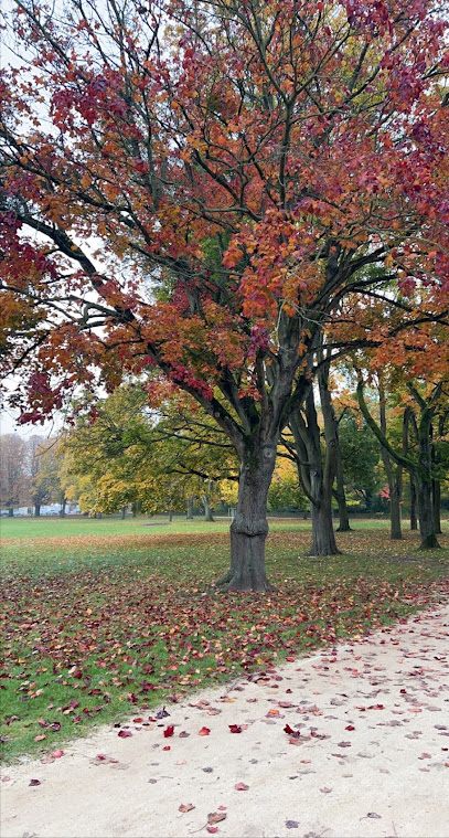 Hundeauslauffläche, Freilauf Ostparkstraße, Frankfurt am Main