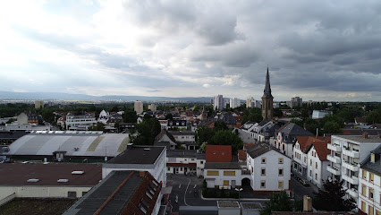 Shokes GmbH, Frankfurt am Main
