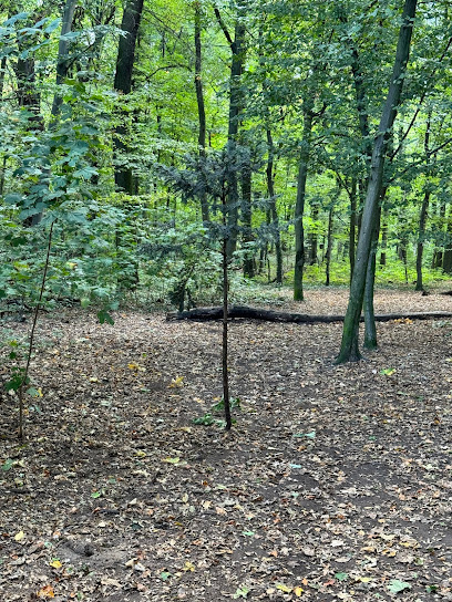 Hundeauslauffläche, Freilauf Riederwald, Frankfurt am Main