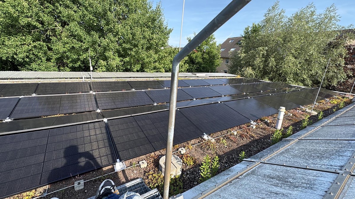 Frosch Solar, Frankfurt am Main