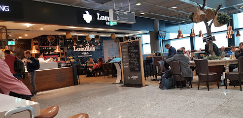Lucullus Nero, Frankfurt am Main