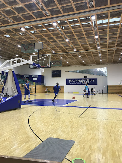 Basketball City Mainhattan, Frankfurt am Main