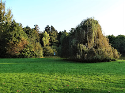 Martin-Luther-King Park, Frankfurt am Main