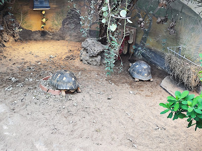 Exotarium Zoo Frankfurt, Frankfurt am Main