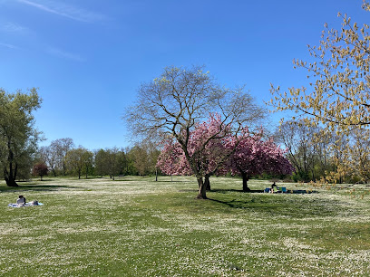 Hundeauslauffläche im Rebstock Park, Frankfurt am Main