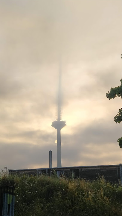 Hundeauslauffläche, Freilauf Bockenheim, Frankfurt am Main