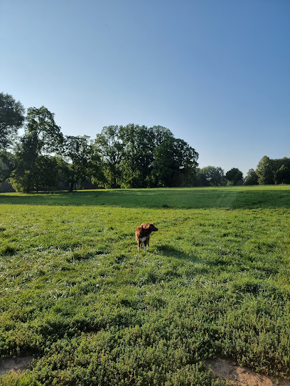 Hundeauslauffläche, Freilauf Im Huth Park, Frankfurt am Main