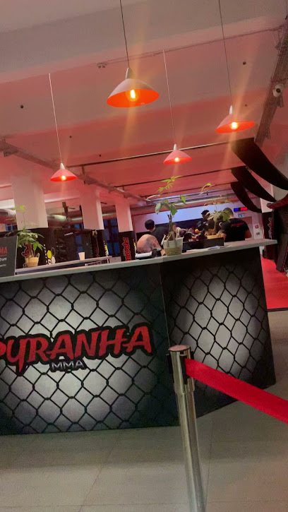 Pyranha MMA Offenbach - Frankfurt, Frankfurt am Main
